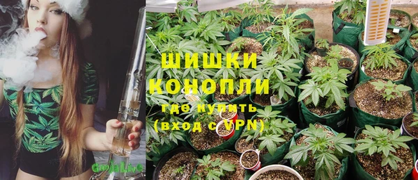 стафф Покачи